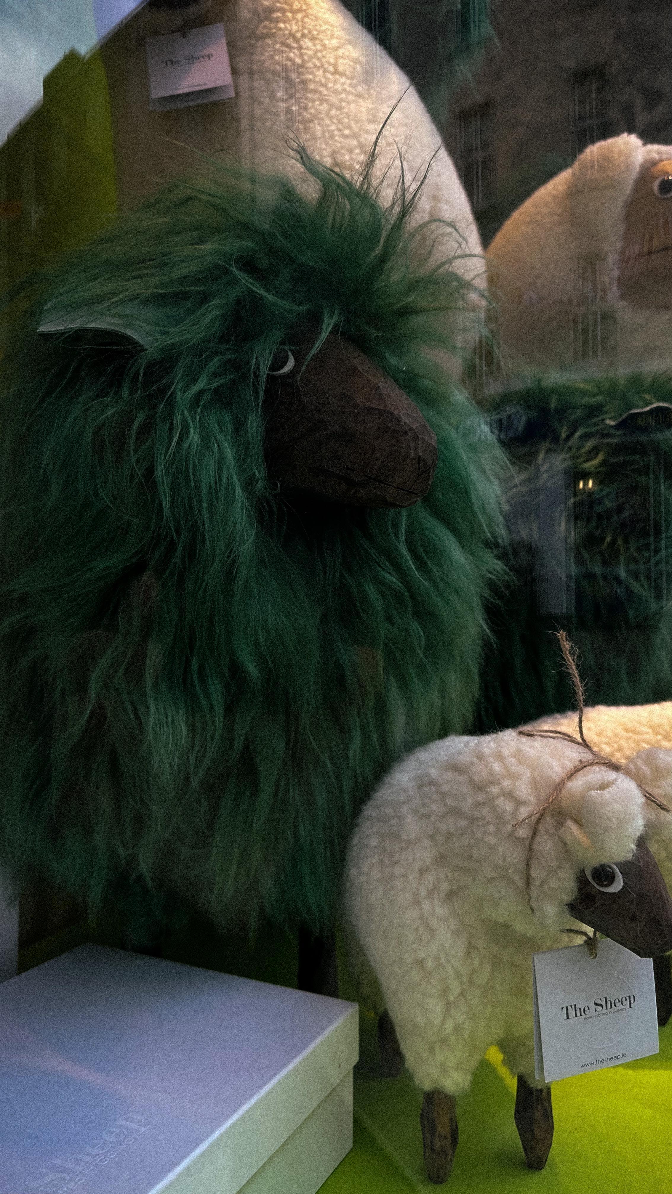 Patrick is enjoying his walk around Galway ☺️. We look forward to seeing you all again in Galway soon ….
#galway #sheep #patrick #stpatricksday #ireland