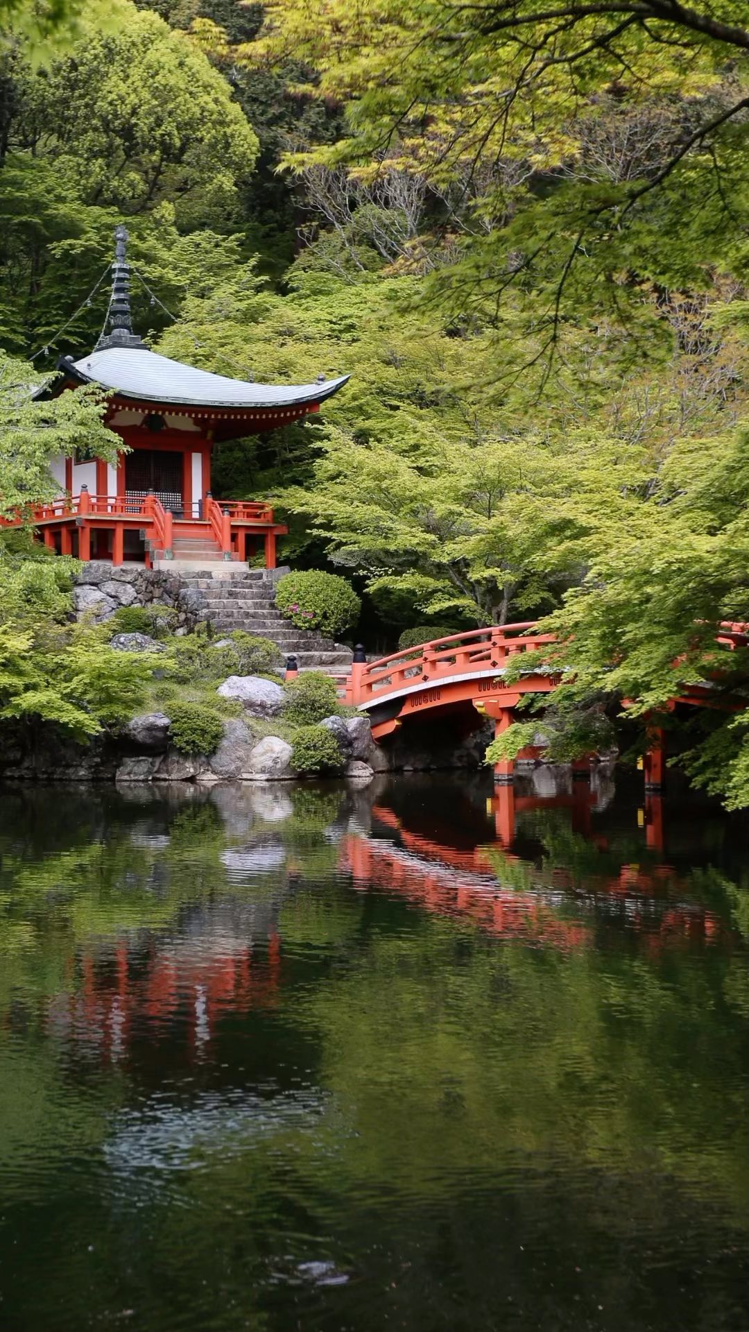 To inspire your next exclusive escape, we’ve teamed up with Live365 partner @pelorusx to uncover how Japan has become an emerging wellness destination of choice amongst luxury travellers.
From traditional hot springs to luxurious Ryokans, Japan offers something for everyone looking to relax, recharge, and renew.
For an unforgettable experience, visit in springtime to see the iconic cherry blossoms that make Japan so picture-perfect.
Learn more via the link in bio 🔗
Image Credit: Taewoo Kim
#365aviation #pelorus #privatejetcharter #explorejapan