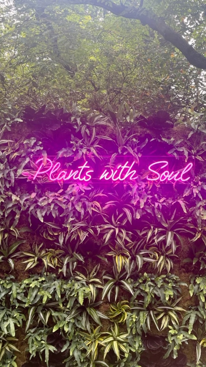 Bloomin' lovely week in London for the Xenia Recruitment team at the Chelsea Flower Show 🌷🌤️🌸
#chelseaflowershow #rhschelseaflowershow #hospitalitystaffing #hospitalityagency #staffingagency #barstaff #hospitalitystaff #london #manchester #newcastle #leeds