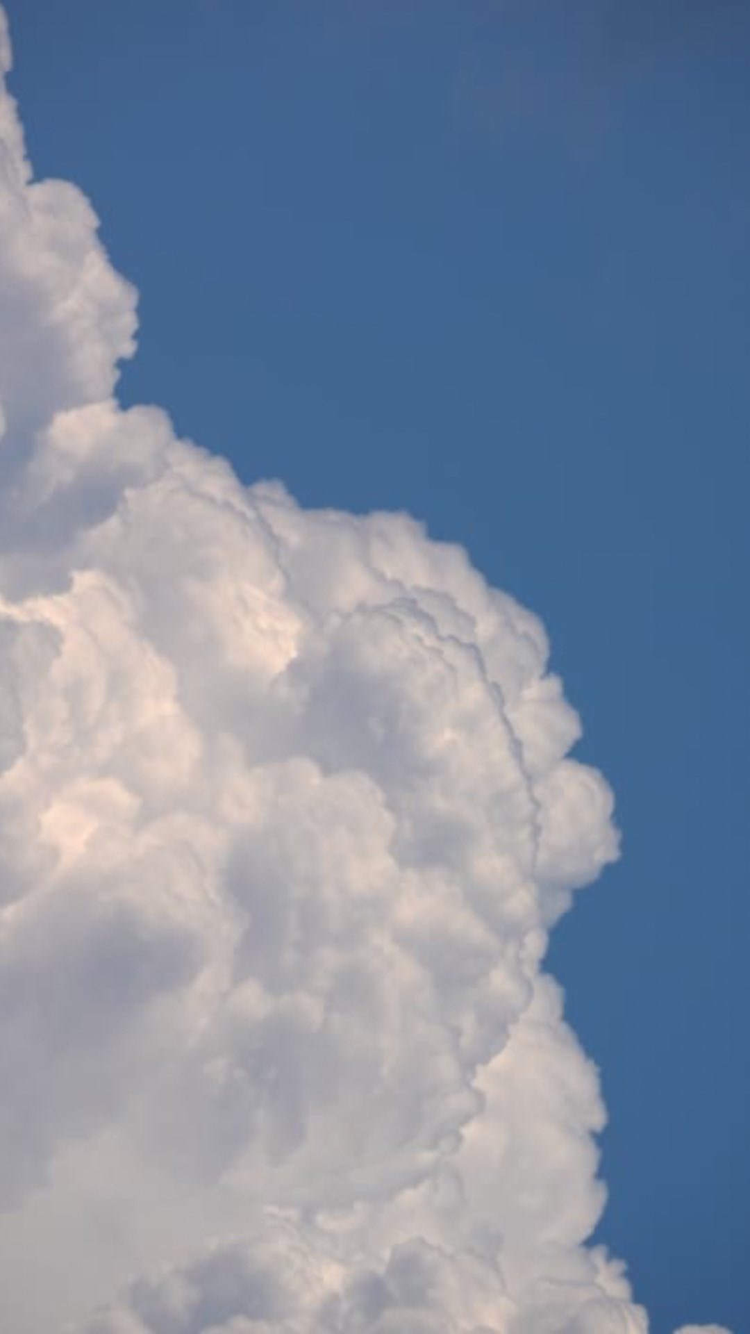 Você já parou pra pensar que a única coisa que permanece constante na nossa vida é a impermanência? E que a impermanência não tá nem aí se ela tá nos tirando coisas boas ou coisas ruins?
As coisas simplesmente passam e dão lugar pro novo. E o novo, por sua vez, só vai durar o tempo suficiente até a próxima coisa chegar. E não é que a vida trabalha numa lógica descartável, é só que ela não para.
Uma vez que se compreende isso, os movimentos da vida tendem a causar menos dor, principalmente aqueles relacionados a momentos de sofrimento e de importantes reavaliações, como em situações de abandono, perda, rejeição e solidão.
Quando uma coisa acaba, não é um ataque pessoal, é só a vida sendo a vida.
A gente pode escolher se apegar, e viver em constante estado de lamentação e luto. Ou a gente pode olhar pra isso como um convite pra aproveitar os instantes que compõem o nosso momento presente e encarar os finais e inícios de ciclos com mais empatia✨
.
.
.
.
#psicologia #saudemental #saúde #psicoterapia #terapia #tcc #terapiacognitivocomportamental #pensamentos #reflexão #autorreflexão #poesia #autocompaixão #mentalidade #crescimento #autocuidado #desenvolvimentopessoal #vida #impermanencia #resiliencia #ribeiraopreto