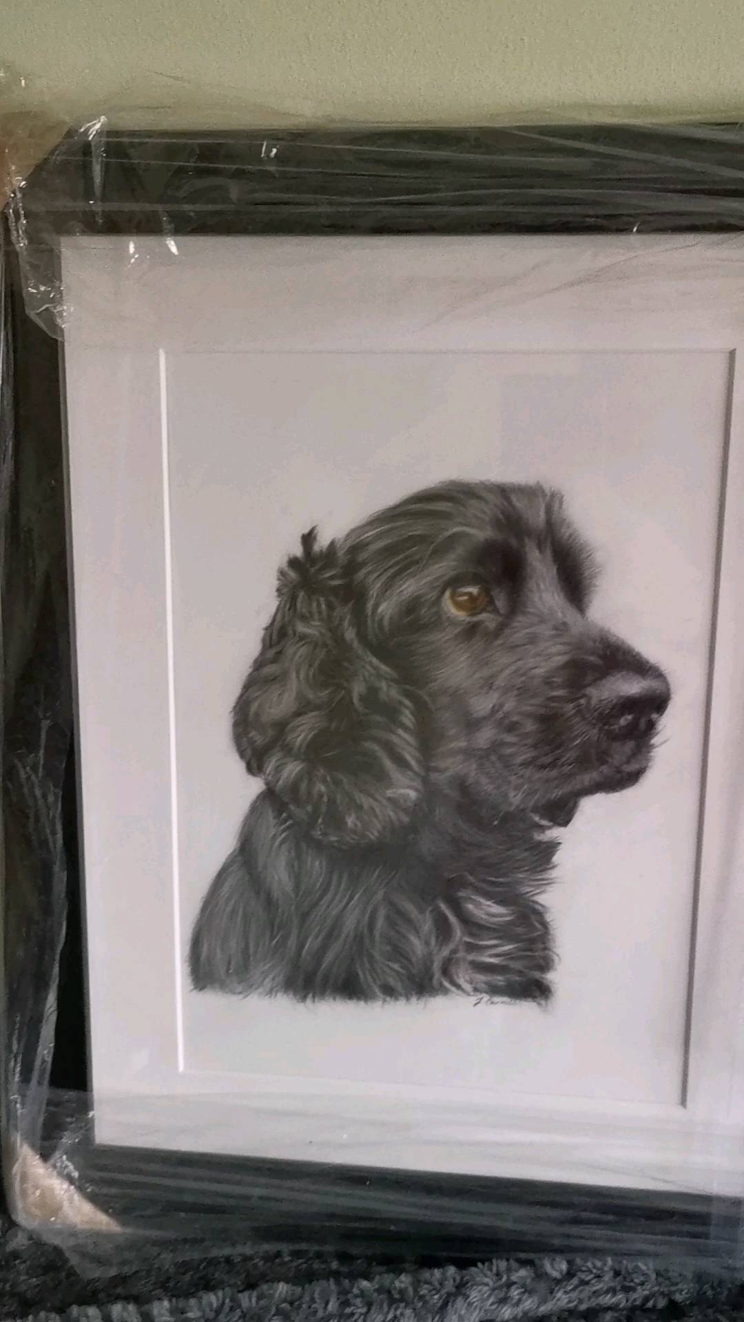 Sheepdog is not available. ❤️Get a creation of a beloved furbaby for a present or even treat yourself to a beautiful colour pencil portrait. Commissions slots are still available 🥰🎅#colourpencils #cockerspaniel #cairnterrier #doglovers #artgallerys