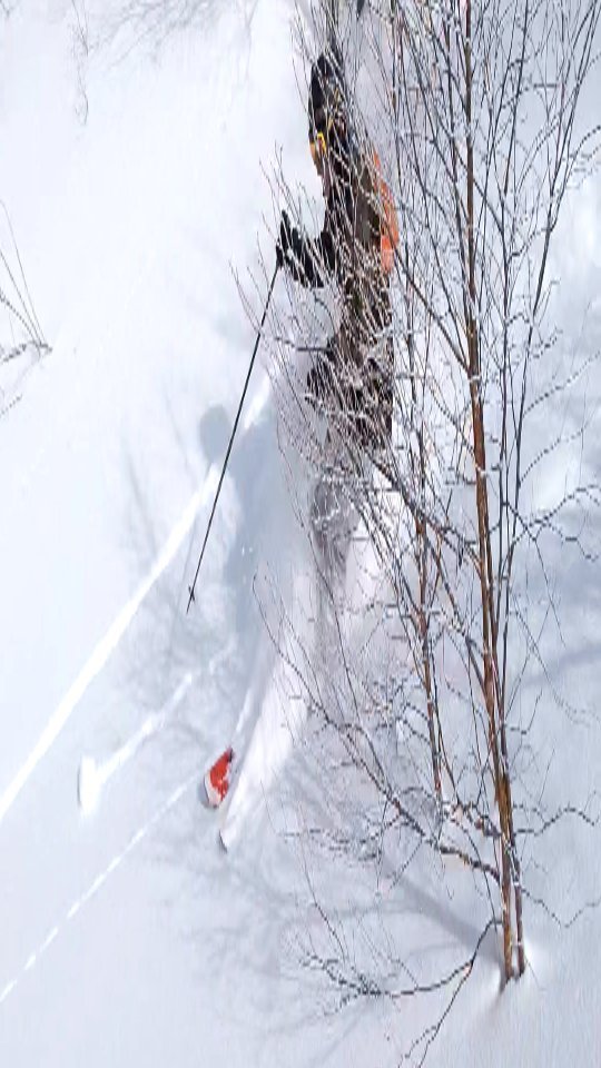 Epic guided day for our guests Brett and Connor. Fresh tracks and light powder from start to finish with no pressure from the weekend crowds. Getting a day only local knowledge can provide 🤙
We encourage you to book guiding well in advance, as we've had many people miss out due to scheduling conflicts
All bookings @gozanlodge.myoko include buffet, gourmet European breakfast, 3 course dinner and onsen pass to our neighboring naena onsen 🙏😋
Get in contact via our site http://gozanlodge.jp or via DM
.
.
#gozanlodge #suginohara #sugi #akakura #ikenotaira #snowboarding #skiing #japanbackcountry #myokokogen #japow #sekionsen #splitboarding #nozawa #madarao #lottearai # #niseko #hakuba #nozawa #杉ノ原スキー場 #妙高 #妙高高原 #雪山 #スノーボード #バックカントリー