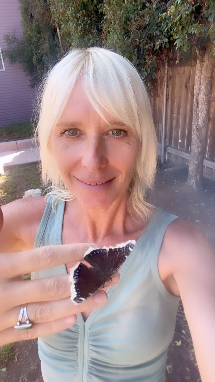 Blue’s baby - Baby Blue is now visiting me every day
😭😭😭
My heart is 🦋🩵🦋🩵
(See recent posts) this is mind blowing…
#spiritbutterfly #magic #butterflyblessing #butterfly