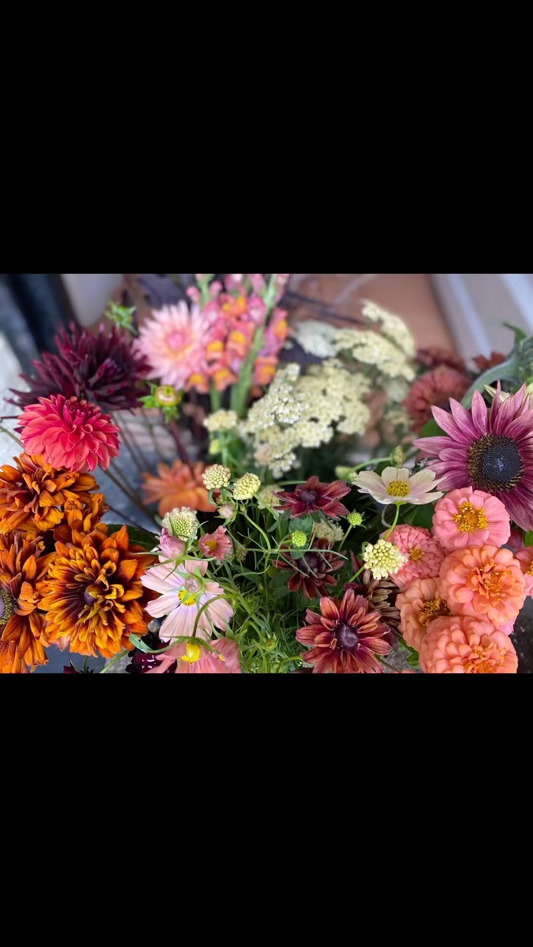 Whilst I wait for it to stop raining here in Devon I thought I’d cheer myself up looking through photos of last year’s flowers 😀
A little reminder that in a few short months my world will be full of sunshine, colour and flowers again! Can’t wait to be supplying my lovely customers soon 🌺😊🌱