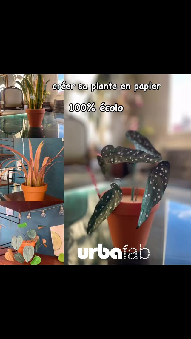 Plante en papier. Créer sa plante en 2h30.
100% écologique, à créer en famille ou entre amis !
Inscription sur urbafab.fr
#urbafab #loisircreatif #plante #pourvous ##fetedesmeres #ateliercreatif #diy #activitemanuelle #atelieradulte