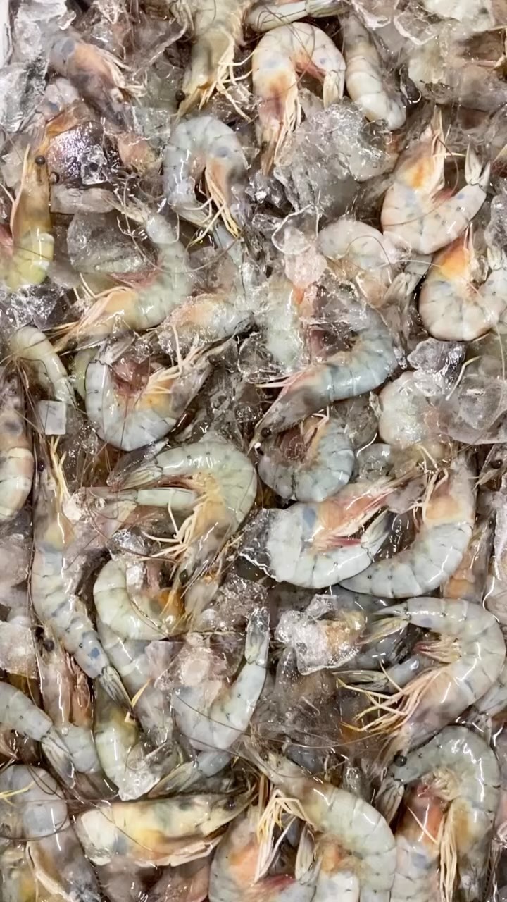 El festin del pacifico colombiano 🇨🇴
La mejor calidad de la pesca artesanal colombiana @pescandopacifico 🐟🎣🦐🦑🐠🐡🎏