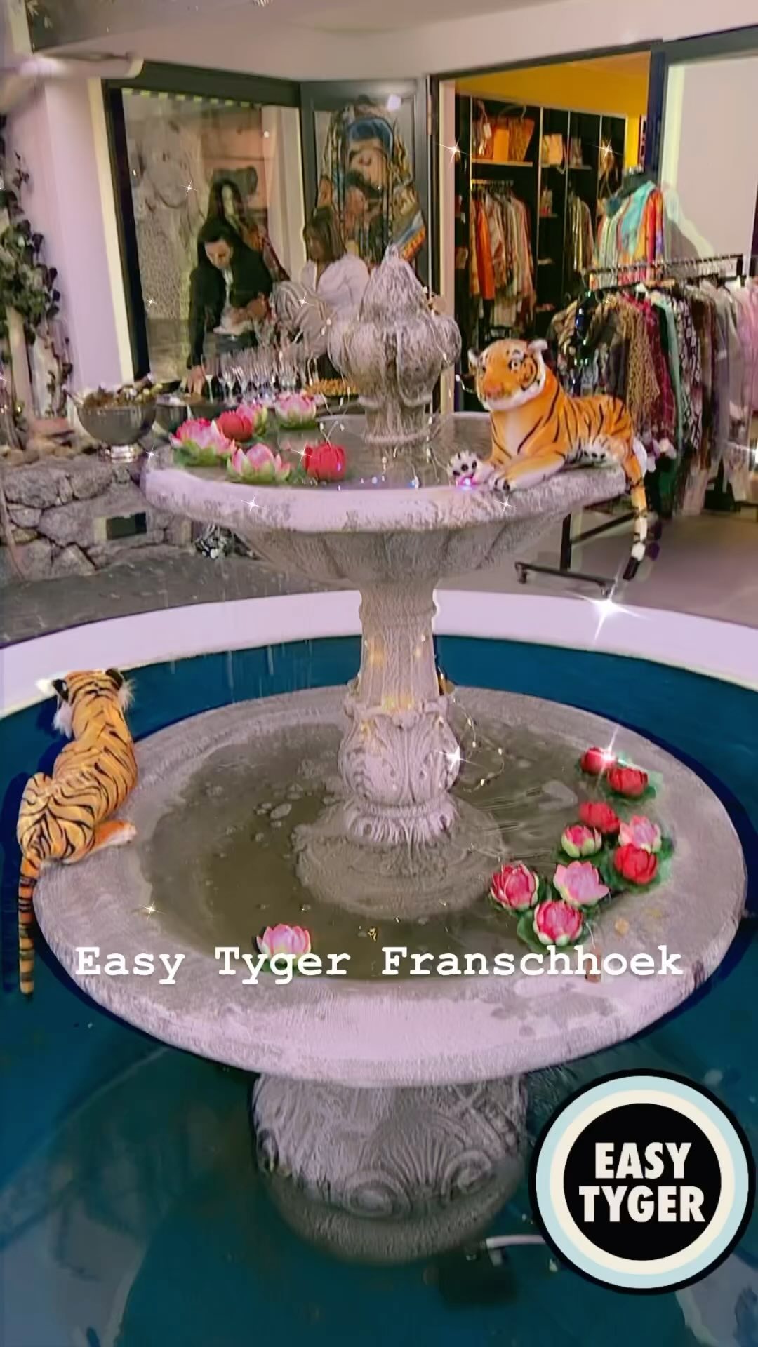 Easy Tyger Franschhoek