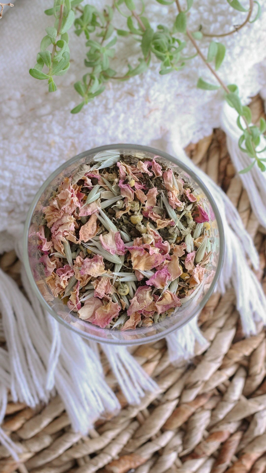 Make a cozy cup of tea with me 🤍
We have several blends of tea, provided by our stylist Justine, for you to enjoy during your hair service!