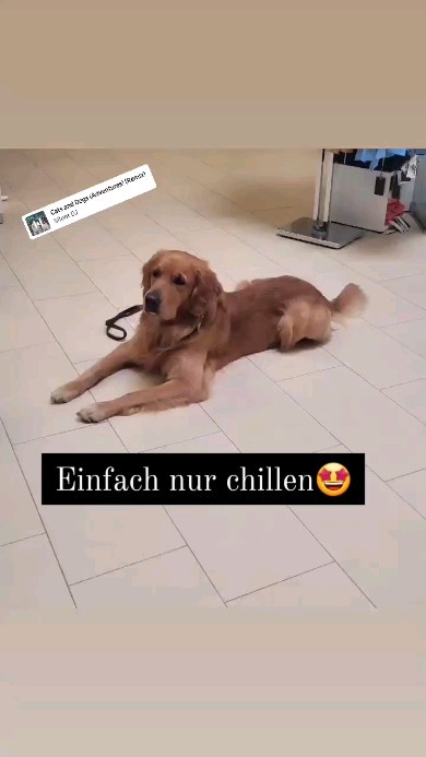 #wirhabengeöffnet #umbauphase #wirfteuenunsaufeuch #herzlichwillkommen #freiburgimbreisgau #donaueschingen #villingenschwenningen #titisee #entspannteinkaufen #sindelfingen #stuttgart