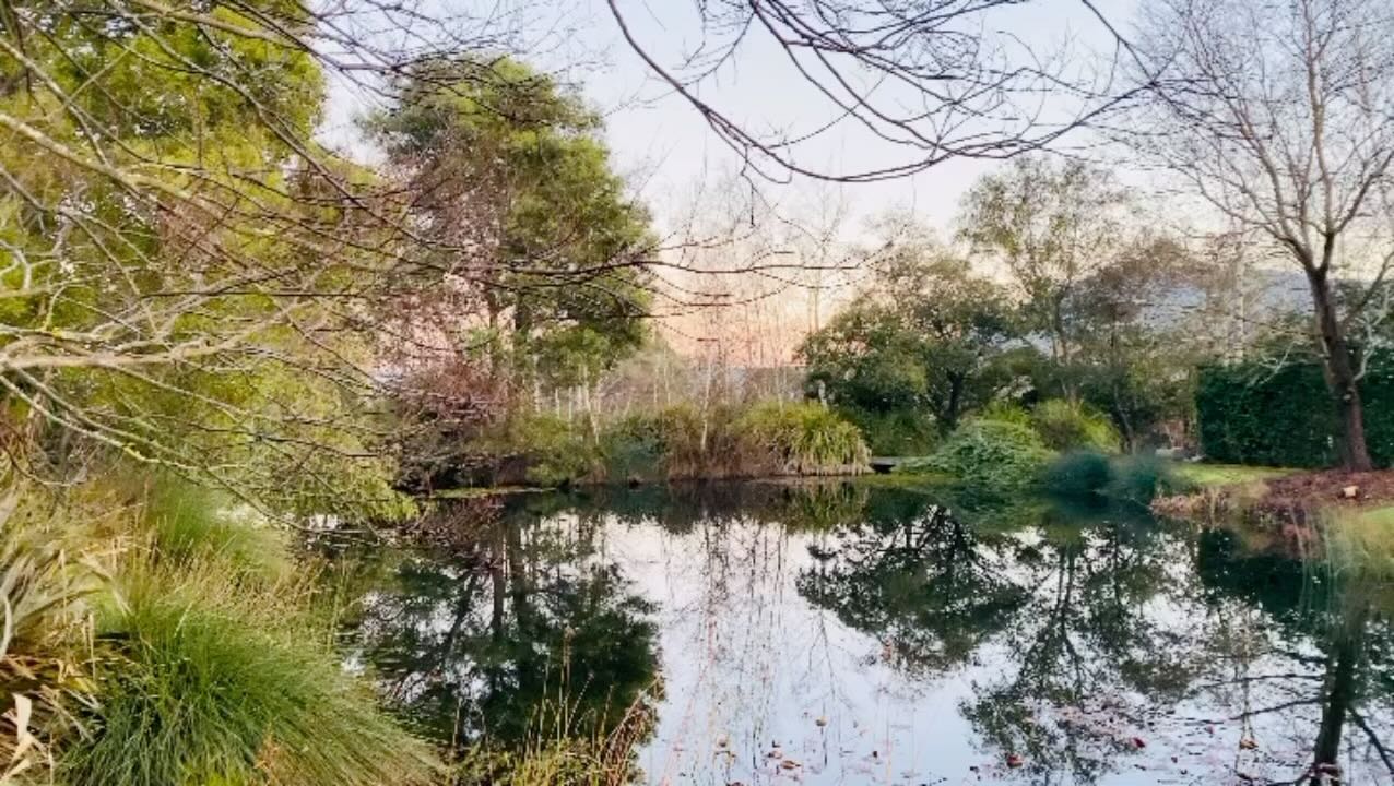 Symphony of Wooling Hill: A Melodic Ode to Victoria’s Native Birds – Why Wooling Hill is Victoria’s Finest Resting Place.
Nestled in the heart of Victoria, Australia, Wooling Hill is more than just a picturesque landscape; it’s a sanctuary where the soul finds solace amidst nature’s symphony. Here, amidst the serene beauty of the Australian bush, the chorus of native birds weaves a tapestry of sound that transcends time and space.
At the crack of dawn, as the sun timidly peeks over the horizon, the dawn chorus begins, marking the start of a new day in this tranquil haven. Magpies, kookaburras, and rainbow lorikeets join forces to create a lively symphony, announcing the dawn with their harmonious melodies.
Throughout the day, Wooling Hill comes alive with the chatter of honeyeaters, the rhythmic drumming of rosellas, and the majestic calls of wedge-tailed eagles soaring overhead. Amidst the rustling leaves and gentle coos of cockatoos, the elusive lyrebird adds its own unique voice to the chorus, painting a vivid portrait of the bushland’s rich biodiversity.
As the sun sets and the golden hues of dusk envelop the landscape, the evening chorus begins, with nightjars and boobook owls lending their voices to the nocturnal symphony. In every note, in every trill, the birds of Wooling Hill create a sense of peace and harmony that transcends words, inviting visitors to connect with nature in its purest form.
Wooling Hill stands as a testament to Victoria’s natural beauty, offering a sanctuary where weary souls can find refuge amidst the melodic embrace of native birds. Here, amidst the tranquil beauty of the Australian bush, visitors are reminded of the timeless connection between humanity and nature, making Wooling Hill truly Victoria’s finest resting place.
#macedonranges #soundsofnature #nativebirdsofaustralia #finalrestingplace #cemetery #cemetree