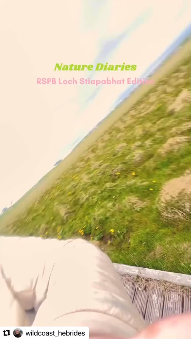 Did you know that North Lewis is home to the only Local Nature Reserve in the Western Isles? Loch Stiapabhat is visited by a range of rare and interesting species throughout the year as it lies on the main flyway from and to the Arctic. Check out this fab reel from @wildcoast_hebrides and take a visit to see what you can spot from the observatory! Will you spot the elusive corncrake?! ๐น @wildcoast_hebrides #visitnorthlewis #isleoflewis #lochstiapabhat #localnaturereserve #birdlife