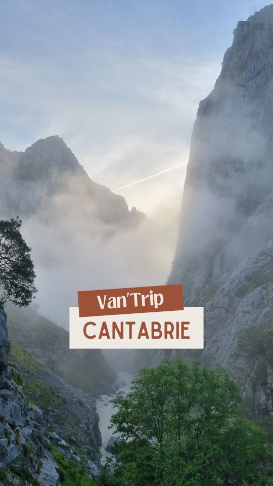 Van'trip en Cantabrie 🇪🇦
Un petit bout de vie posé là qui me rappelle qu'il est bon de faire partie d'une nature vivante, puissante & généreuse. Tout est là, il n'y a qu'à observer, savourer et préserver.
Instagram débranché, le voyage des sens peut alors commencé. Le mental se relâche et le temps se distend. S'abandonnant à la lumière du soleil, je me familiarise avec une mélodie oublié des branches qui craquent, des oiseaux qui nous réveillent, d'une pluie qui s'invite au matin.
C'était chouette, entre rencontre, nature, podcast, dessin, jeux & rigolade.
Une parenthèse enchantée
#vantrip
#cantabria
#aventurenature
#joiedevivre
#simplicité
#takeabreak
#observation
#voyagedessens
#sensorialité
#tripespagne
#voyageenvan