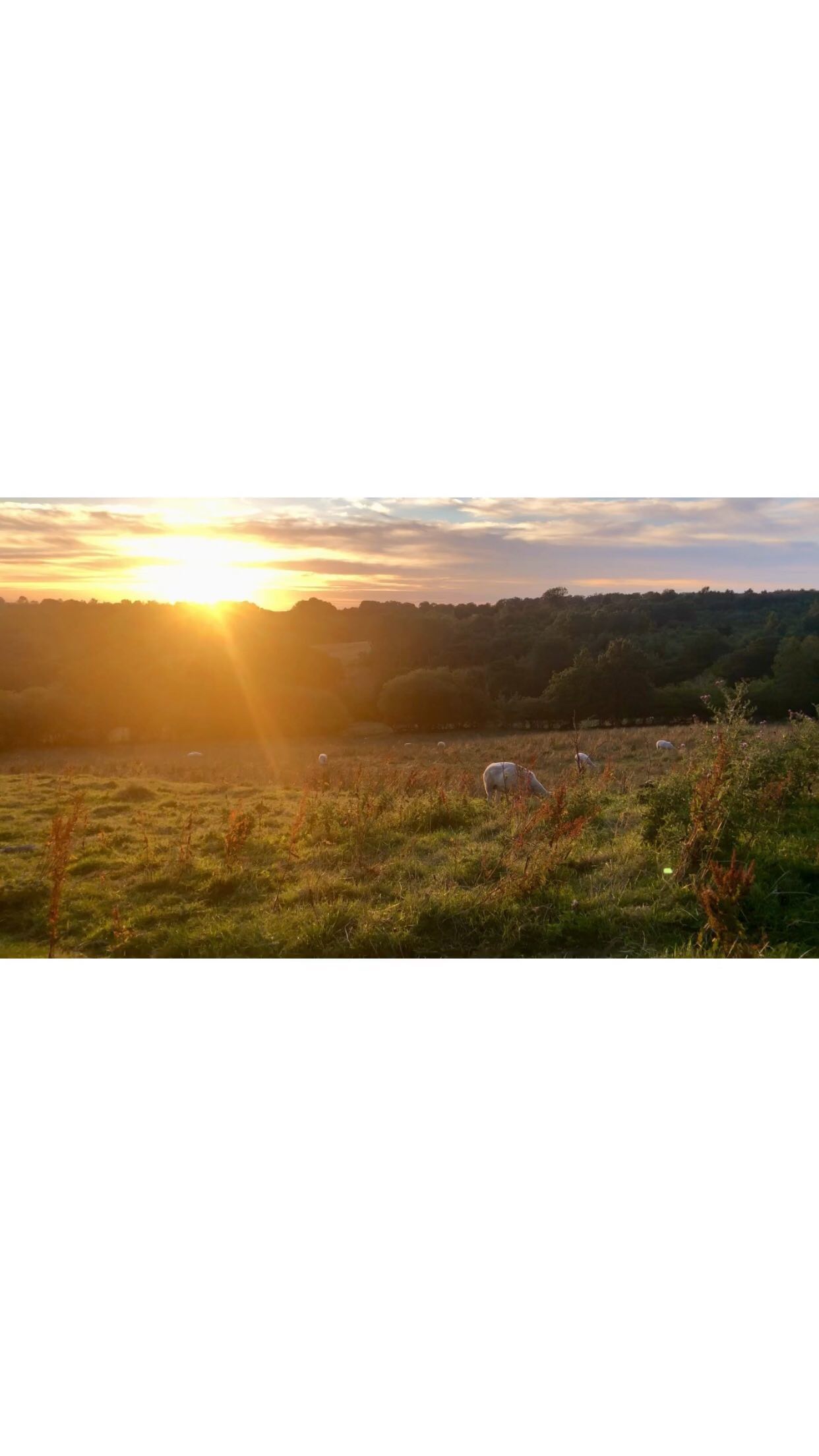 Garthside is located on a beautiful, rural hillside adjacent to Hadrian's Wall Path.
Visit Garthside Farm Holidays to experience luxury glamping at a peaceful countryside retreat in an extraordinary Cumbrian setting.