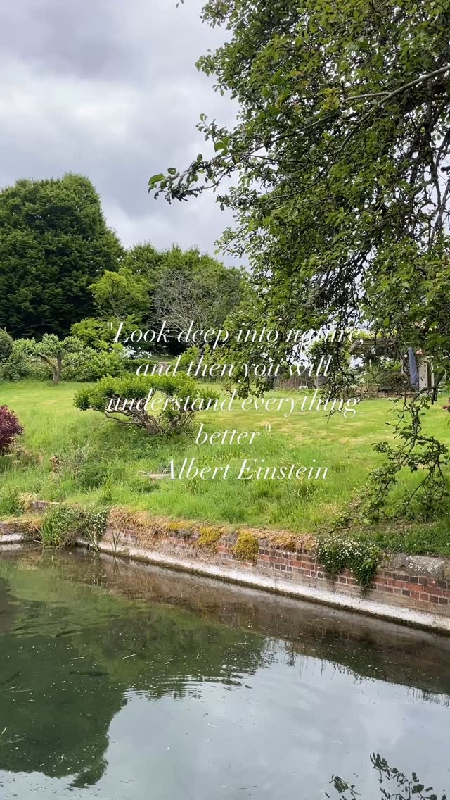 #rebalancewestsussex
#naturetherapywestsussex