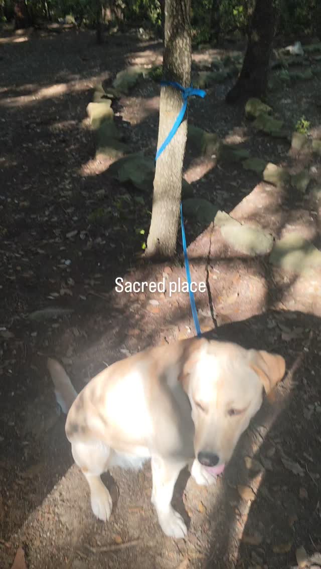 #sacred #sacredcircle #powerspot #ceramic#pottery#ceramiccourse#internationalceramiccourse