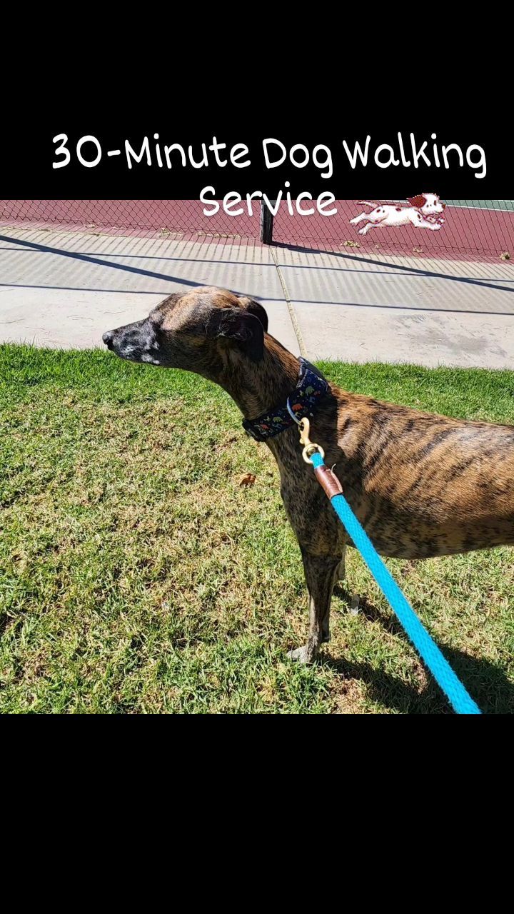 Meet Finn and Kai! Their mom works long hours and asked me to walk her dogs while she's at work. If your dog needs exercise or just a potty break while you are out, consider our 30-minute and 60-minute dog walking services with Four Paws & Exotics Pet Sitting!
www.fourpawsandexotics.com