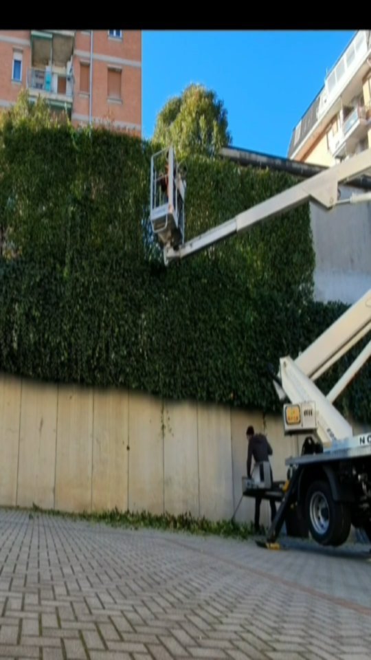 Potature.
.
.
.
.
.
.
.
.
#treesurgeon #treclimbing #giardinaggio #giardino #natura #garden #piante #green #fiori #verde #nature #gardening #potatura #italy #giardiniere #giardinodicasa #italia #love #flowers #landscape #plants #polliceverde #potature #foglie #sempreverde #giardini #topiartist #pellenc