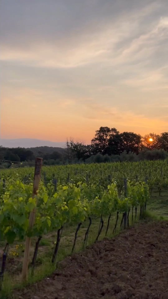 Just the two of us: Tuscany sunset yoga ♥️
•
•
•
👩🏼💻 Book your private luxury chianti experience
1️⃣🍷🫒 Wine and olive oil tasting with lunch option
2️⃣🧘🏼♀️ Private Yoga class
3️⃣🍷🫒🧘🏼♀️ All
🙋🏼♀️👀 Comment: which do you prefer ? 1️⃣2️⃣3️⃣
#inspirariscopritivivi #afiorentinaexperience