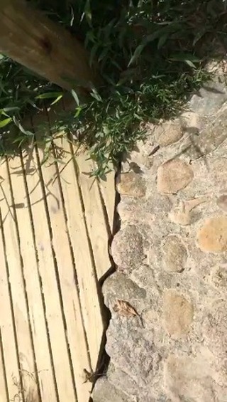 Dá pra sentir o clima da Praia do Rosa e a magnitude da natureza.
Nosso condomínio fica somente à 300 metros do mar.
Vem curtir o Rosa!
Reservas 48 99949 1971
#praiadorosaoficial #sc #imbituba