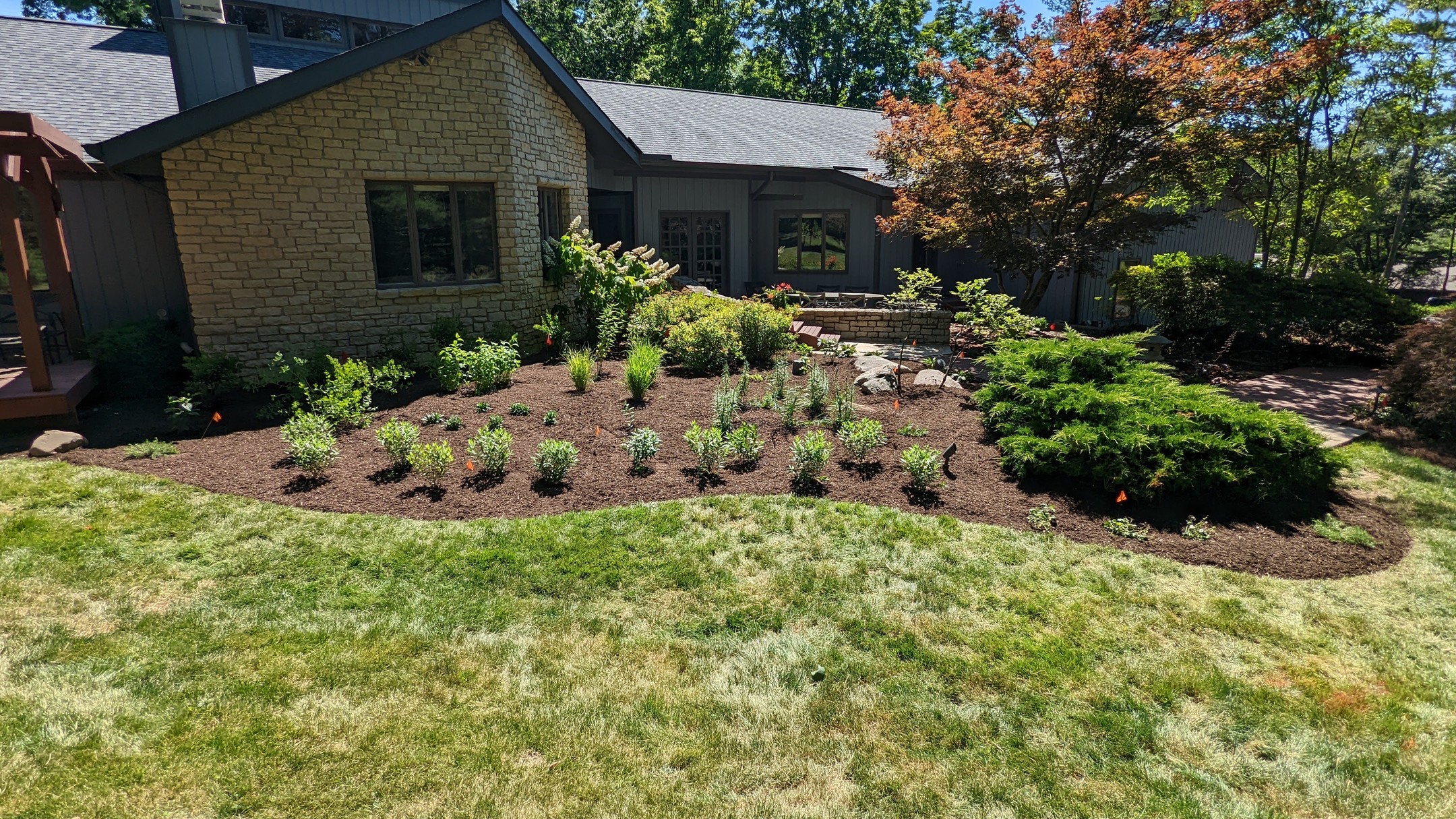 In case you weren't able to attend the @cincynature garden tour, here's a quick walk-through of our project.
This was freshly installed this past week, and features an array of native gardens such as a large dry creek, a full sun pollinator garden, shade gardens, and a low-grow meadow grass planting!
Plants provided by @greenfieldplantfarm and @keystone_flora.