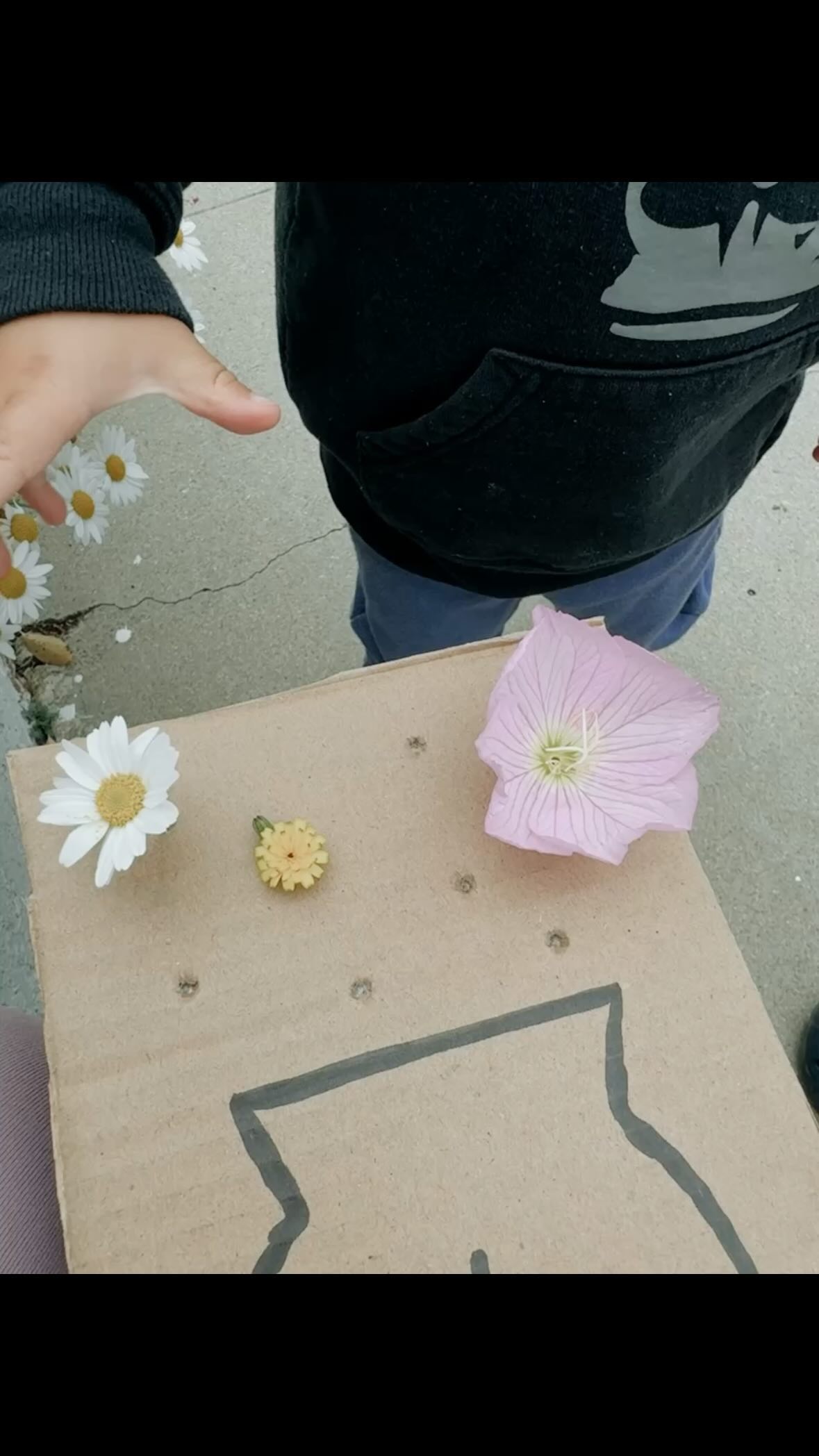 🌿 Discover the magic of child-led learning at Wild Peaks Collective! Our unique approach empowers kids to explore their natural interests and grow in a bilingual environment designed to nourish their minds and bodies. ✨ Now enrolling for the 2024-2025 school year!
Join us this weekend at our Open House & Community Garden Kickoff, where you can meet our team, explore our beautiful space, and even plant something special with your little ones. Plus, enroll by this weekend and you’ll be entered into our raffle for a FREE MONTH of tuition! 🎉
We can’t wait to grow with you 🌱
#WildPeaksCollective #EnrollmentOpen #BilingualEducation #MontessoriInspired #CommunityEvent #OpenHouse