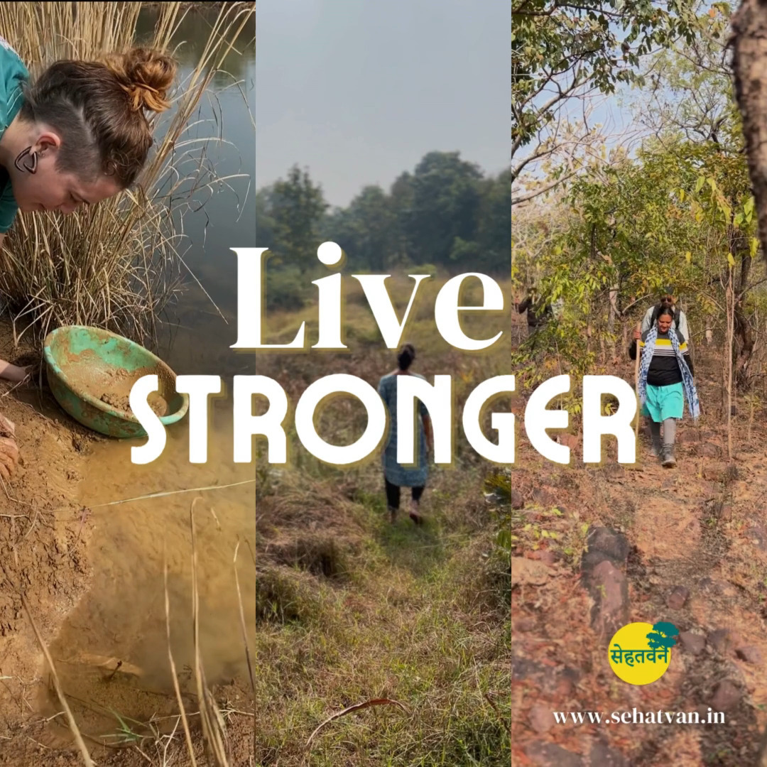 Forest Fasting Camp (Sept-Dec season)
.
.
#yogafitness #fasting