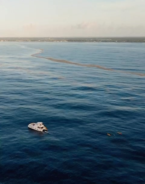 One year ago today the inspirational @olyrush did the impossible to raise awareness for plastic pollution. We’re incredibly happy to finally drop our trailer for The Grand Swim! We’ve been working on it for around 14 months and we still have more editing to do. Here’s a taste for what’s to come later this Summer. #thegrandswim #plasticpollution #environmentalfilm #ukdocumentary