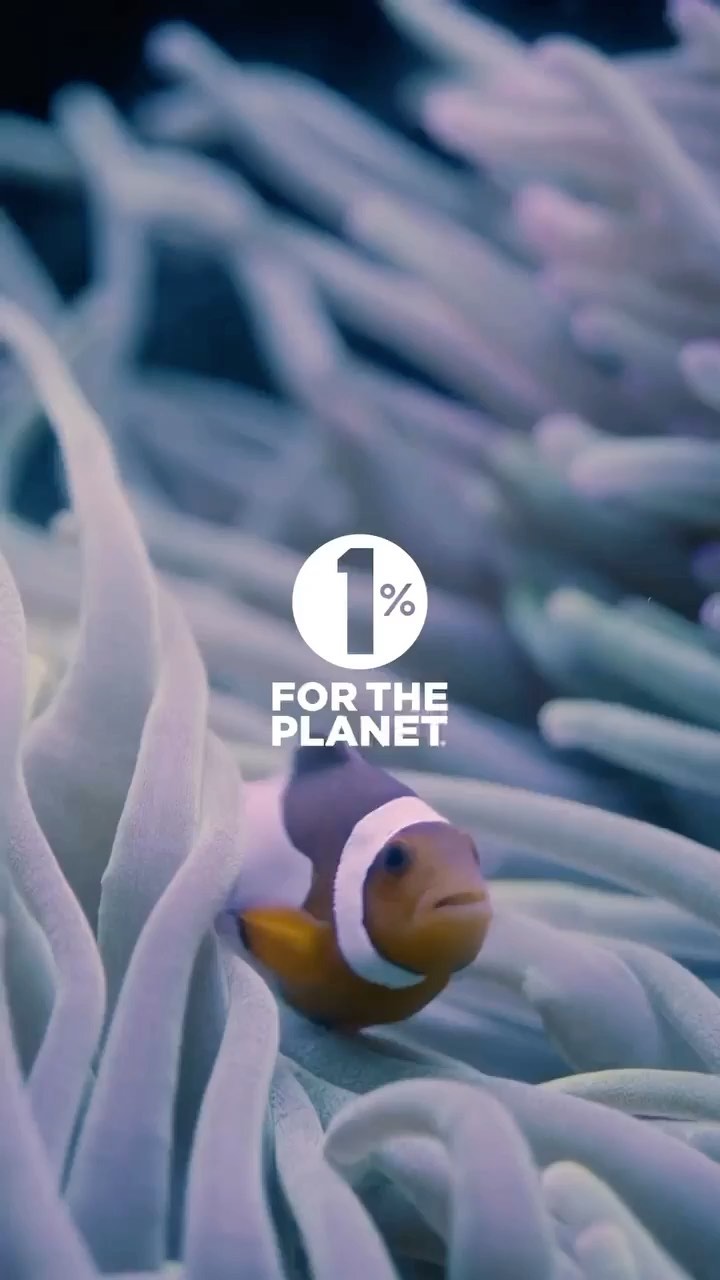 Here’s to cleaner and happier oceans in 2023 ✨ 🌊 With every purchase through Figs & Rouge we support for One percent for the Planet @1percentftp and sustainable environmental charities 🌎 Our recent ocean clean up donations have been to @lonelywhale @oceangeneration & @bigblueoceancleanup This will help keep these wonderful organisations looking after our seas & wildlife. Keep up the good work 🌊 🐳 🐠 🌎
#sustainability #sustainable #ecofriendly #sustainableliving #environment #zerowaste #sustainablefashion #climatechange #nature #gogreen #recycle #savetheplanet #plasticfree #eco #reuse #design #green #organic #fashion #handmade #vegan #architecture #innovation #slowfashion #renewableenergy #earth #climateaction #recycling #circulareconomy #love