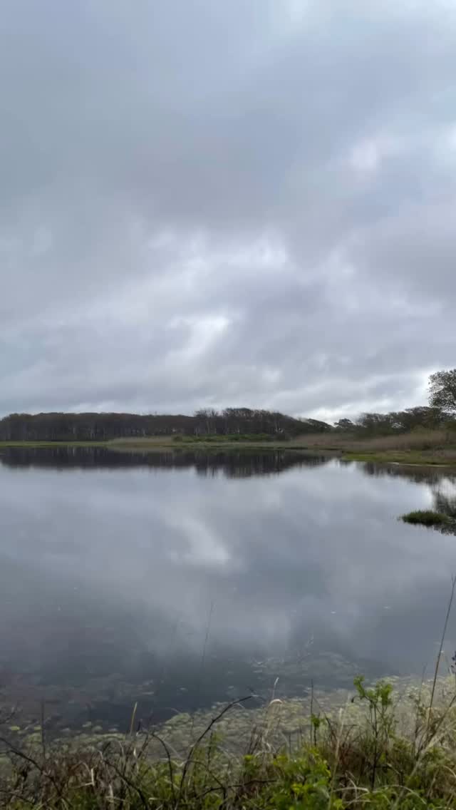 Who says moody isn’t beautiful?
#dancemovementtherapy #expressiveartstherapy #creativeartstherapy #integrativepsychotherapy #somatictherapy #mentalhealth #dancemovementpsychotherapy #emotionalintelligence #nofakesmiles #moody