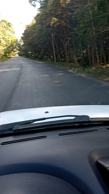 Difícil ficar estressado dirigindo nessas estradas 😎