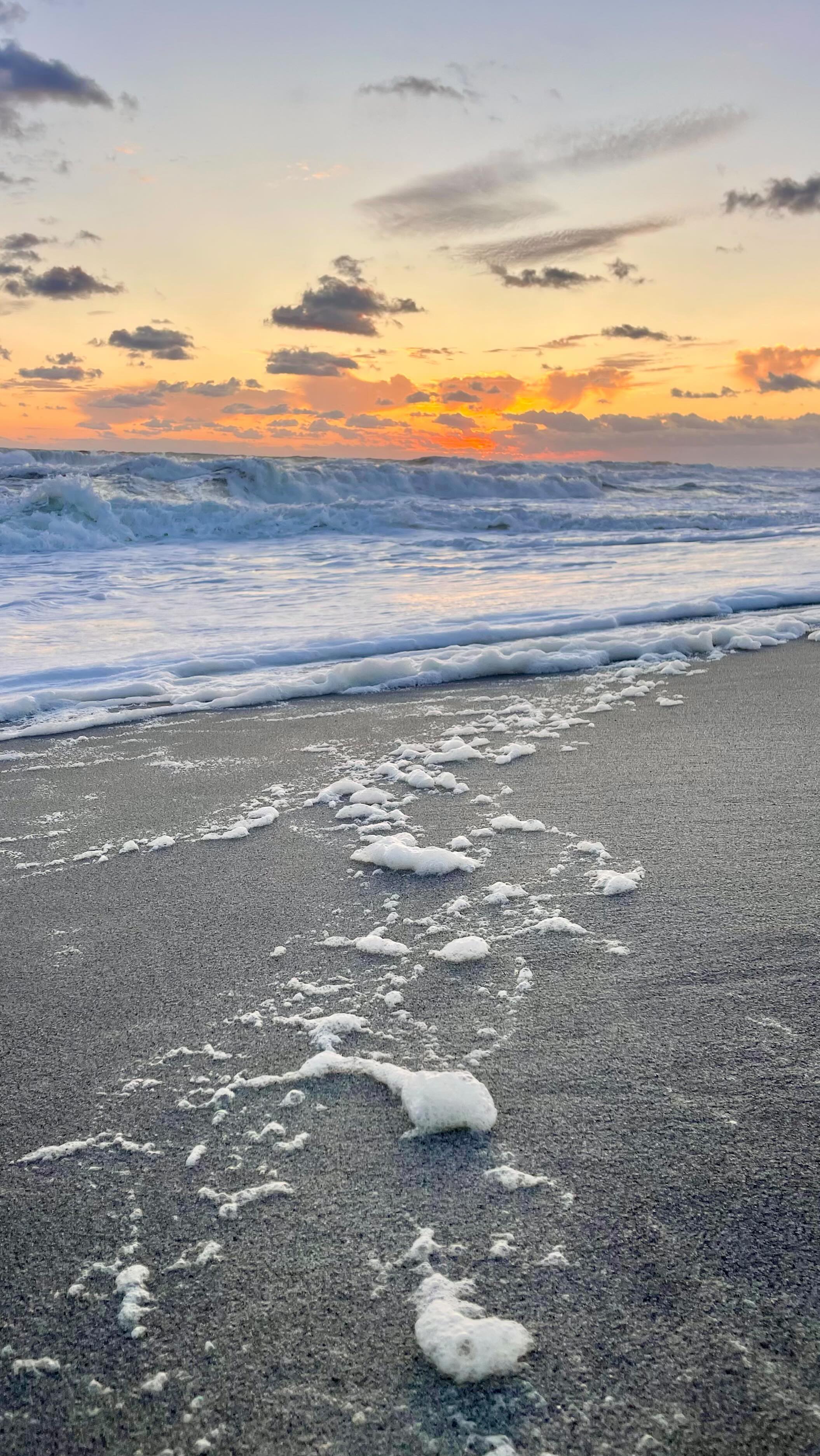 The inspiration vs. final product: sunburst mugs, one of my favorite designs yet! I hope they make you think of views like this 🌅
#pottery #clay #ceramics #ceramicartist #artistsofinstagram #potteryofinstagram #handmadepottery #handmadeceramics #potter #wheelthrownpottery #wheelthrown #functionalceramics #handmade #nantucket #nantucketisland #nantucketphotos #ack #02554 #nantucketphotography #newengland #newenglandphotography #massachusetts #capecod #capecodphotography #nantucketgifts #shoplocal