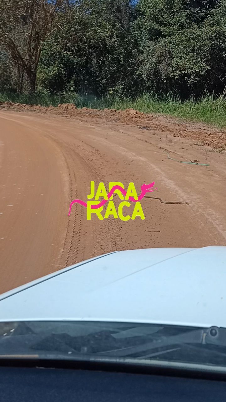 O respeito a natureza deve ser um princípio 🙏. Afinal, não estamos "no meio, somos parte do meio".👍🌳🐍😍
#simboracaraiva
#transfercaraiva
#transfercompartilhadocaraiva
#transfertrancoso
#transferpraiadoespelho
#transferarraialdajuda
#transfersatu
#transfercumuruxatiba