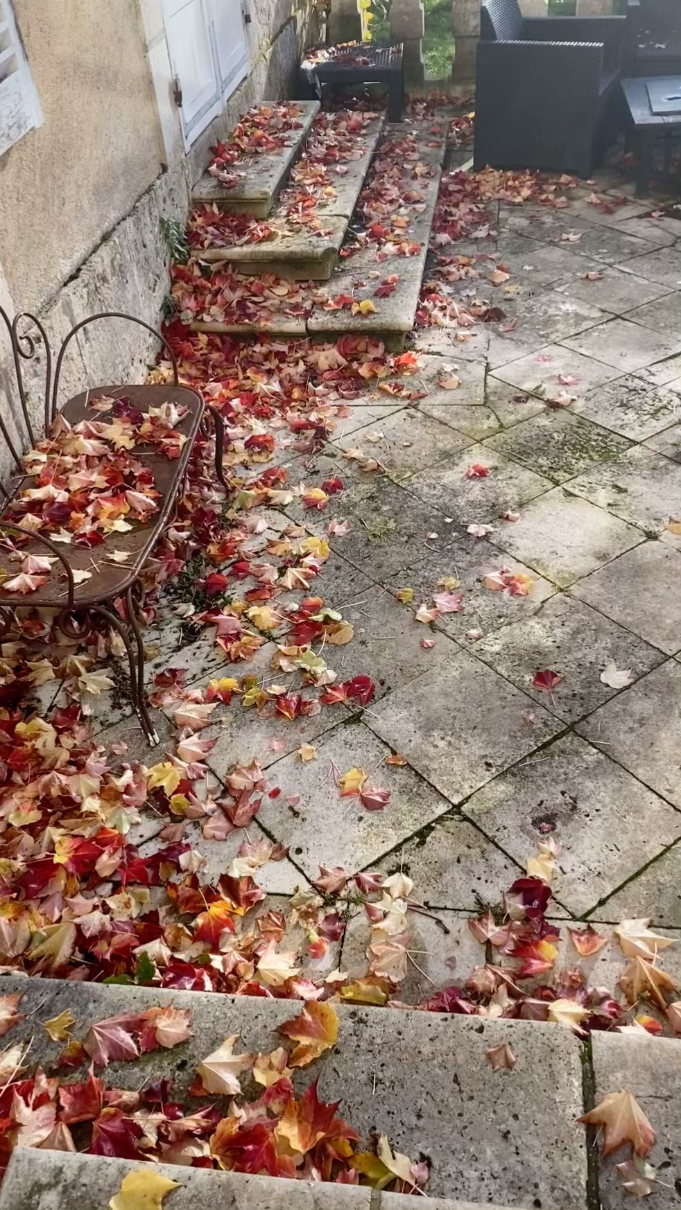 #automne
#vignevierge
#lepetitchateaudelabrosse