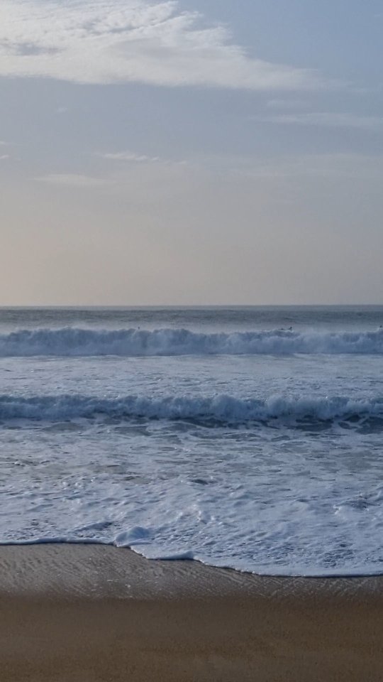 Septembre 🍂
Merci
Malgré tous les doutes que j'ai pu avoir sur ce changement de vie, je me sens aujourd'hui pleine de reconnaissance pour ces rencontres, cet accueil, cette nature.
•
Le chemin pour s'enraciner prendra le temps nécessaire. J'ai envie de laisser le temps au temps, d'accueillir sans remplir, de savourer sans me projeter, de prendre soin de mon rythme, qui comme les saisons; fluctue.
Vivre les choses pour moi, les intégrer, les travailler pour vous accompagner avec authenticité 🙏🏻
Prenez soin de vous les yogis,
•
On se retrouve demain soir, 19h ? Nous travaillons Le changement de saison ensemble.
#automne🍂 #yinyogateacher #yogaenligne #changementdesaison #eteindien #pratiqueyoga #yogapourtous #sesentirlibre #boostersonimmunité #ralentir #septembre