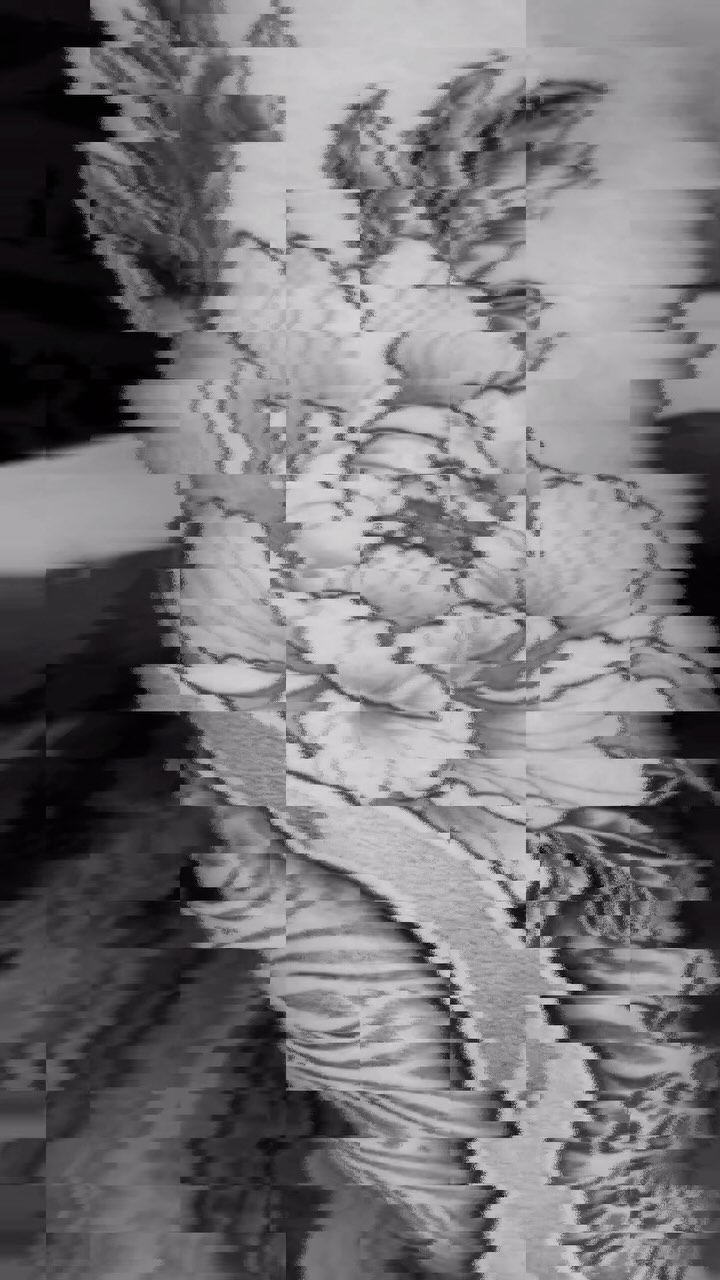 More on this leg. Thank you Micah!