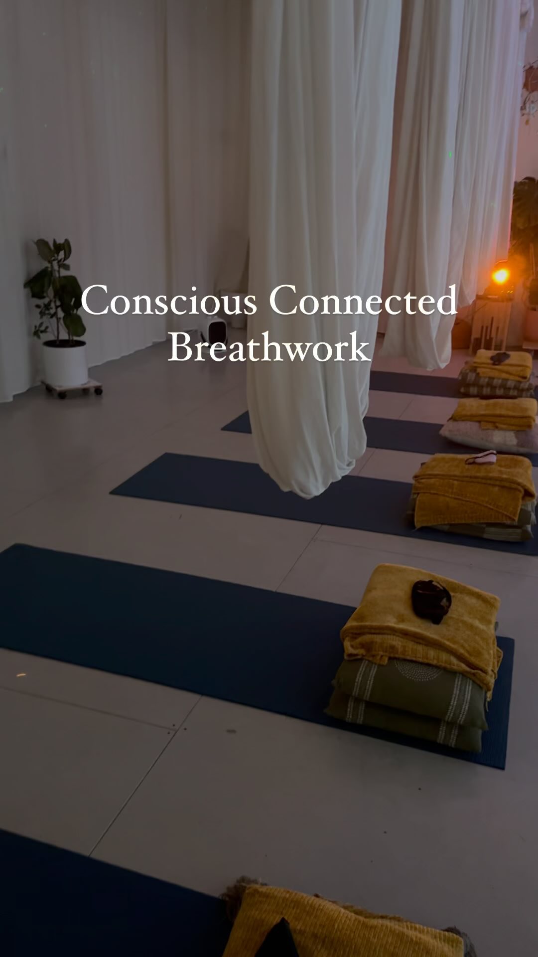 I had an incredible experience yesterday with the amazing @soulspace.studio providing Conscious Connected Breathwork with a Floating Hammock immersive experience. It was beautiful and enlivening, a must try for anyone wanting to really come home to themselves ✨
#breathwork #immersiveexperience #somatichealing #consciousconnectedbreathing