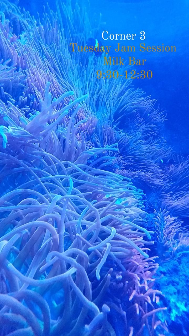 Tuesday Jam Session @corner3jazz
9:30-12:30 @milkbardenver
#vibes