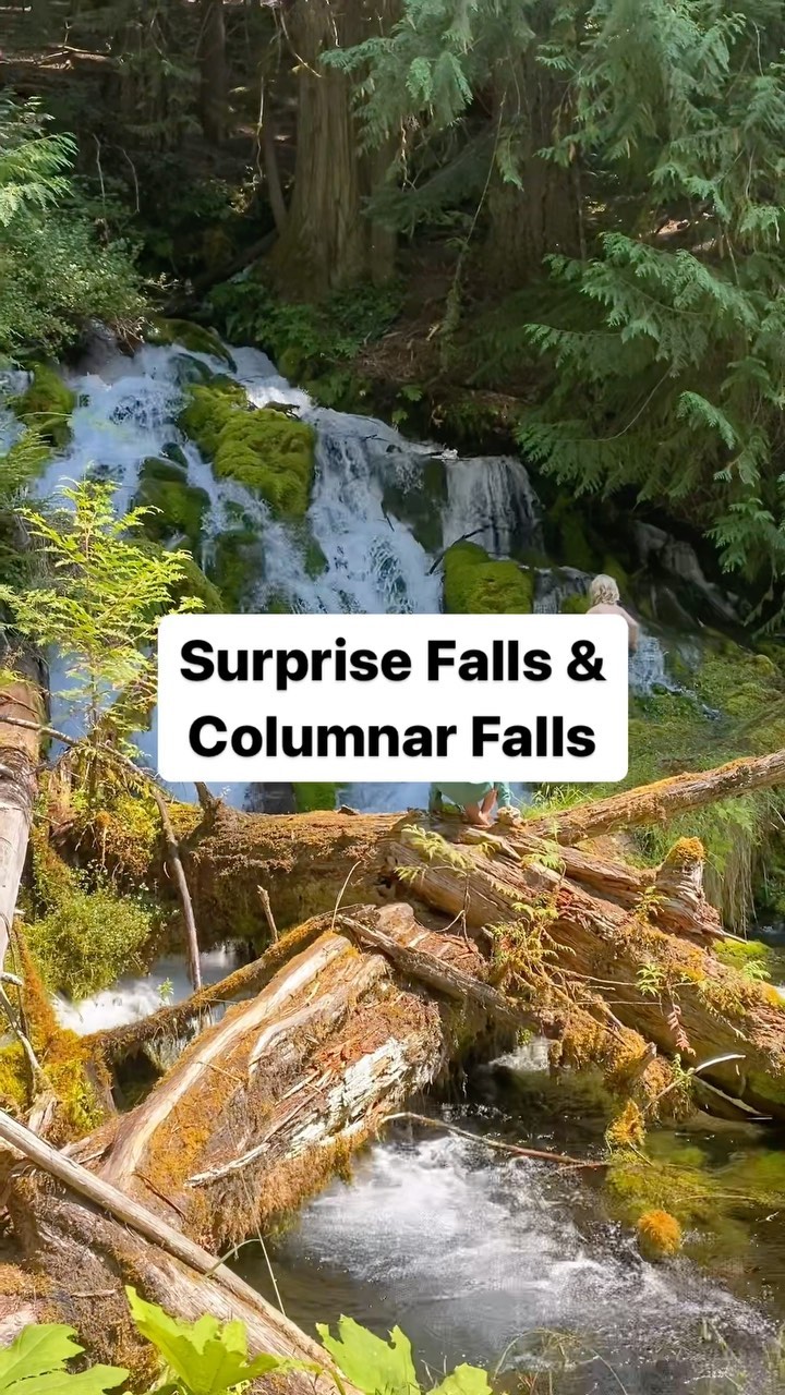 📍 Surprise and Columnar Falls
Learning Topics: old growth forests, waterfalls, rivers, bird watching
The trail is a bit confusing to find and follow.
Full description and details will be available soon to members at:
www.wildandbarefootadventures.com
#wildandbarefootadventures #hikingadventures #northumpquariver #umpquanationalforest #columnarfalls #surprisefalls #dreadandterrortrail #northumpquatrail #getoutside #adventurefamily #homeschool #homeschoolfamily #exploreoregon #hikingwithkids #adventurefilledlife #placebasededucation #optoutside #pnwkids #childhood #wildandfree #hikingoregon #pnwoutdoors #outdoorswithkids #hiddengem #outdoorclassroom