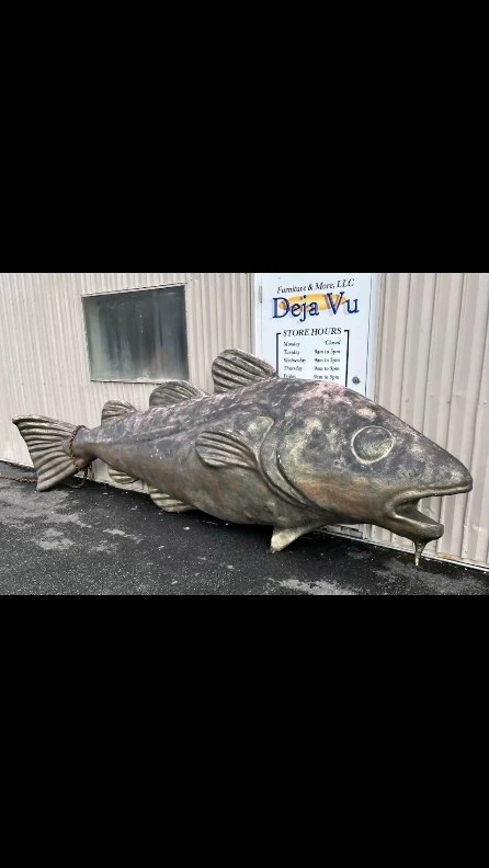 Restoring this 18' long fiberglass cod is one of the current projects that I am working on. I spent some time today sanding it and getting it ready for an epoxy primer. After that, it's all about the paint! I'm so excited about this project, painting a gigantic fish, whooot!! When it's complete, it will be displayed at the Common Man Town Docks restaurant on Lake Winnipesaukee, Meredith Nh, either on the roof or the ground...TBD! Progress pics to follow!
#fishart #fishnewengland #atlanticcod #nhartist #muralartist #fishsculpture #nhart #marineart #fishobsessed
