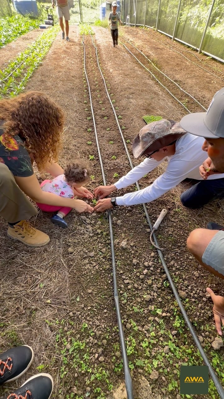 🌺 Mami, que mucho me has enseñado… tu amor me ha permitido crecer y disfrutar las cosas sencillas de la vida. ¡Gracias! ¡Te Amo! 💛🌿
.
#MamaAventurera #AventurasFamiliares #MadresSinMiedo