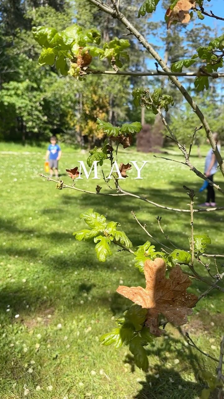 We did a nature walk yesterday with our Deep Cove Kiddos 🏞️
What a beautiful way to spend our afternoon together!
#afterschoolcare #natureplay #exploringnature #childcareadventures