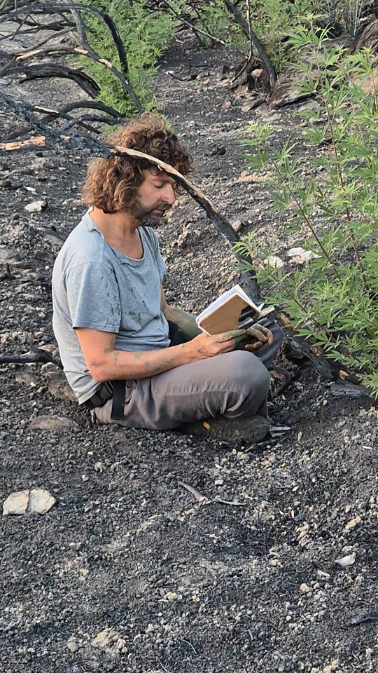 Yesterday we began our journey of discovery with the performance of Nico Angiuli who showed us a post apocalyptic world in the burnt land on the island of Evia in Greece. #prosper #wildfires #art #performance #creativeeurope