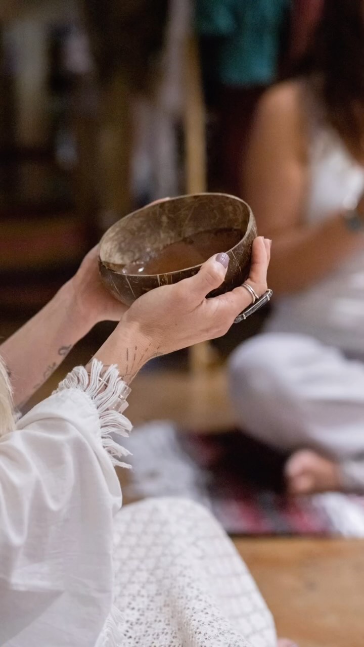 Cacao is more than chocolate, it is a spiritual dimension, an intelligence that we cannot perceive with the mind, but with the heart, the intuition and through feelings. Cacao is used for spiritual, medicinal and ceremonial purposes for inner awakening and creative guidance.
Cacao ceremonies are a beautiful way to connect a group and friends and set intentions from the heart, build deeper connections with one another, open a space of sharing or just being in togetherness. This is a lovely practice to create a sacred Heart space for yourself.
Cacao is honored as a gift from the gods and helps us shift down from the head into the heart. It is seen as a medicine that’s helps us transform and heal.
Cacao’s energy is healing, motherly and very gentle. Mama Cacao speaks to the heart. When we connect with the heart’s energy our voice may speak from a place of deeper intelligence carrying vibrations of peace.
I am very grateful to have this plant medicine for decades in my life and to be here in the Bay Area sharing the best Cacao in the world with all of you. 🫶🏻
I’m back from Brazil and my schedule is open for aphrodisiac Cacao ancient rituals & private ceremonies.
If you felt the call to try this medicine, visit our website and connect with me ✨🤎✨
Muito amor! 🫶🏻
#cacaoceremony #cacao #bayarea #holisticretreat #ancientplants #plantmedicine #cacaozita #heartopener #hilisticlifestyle