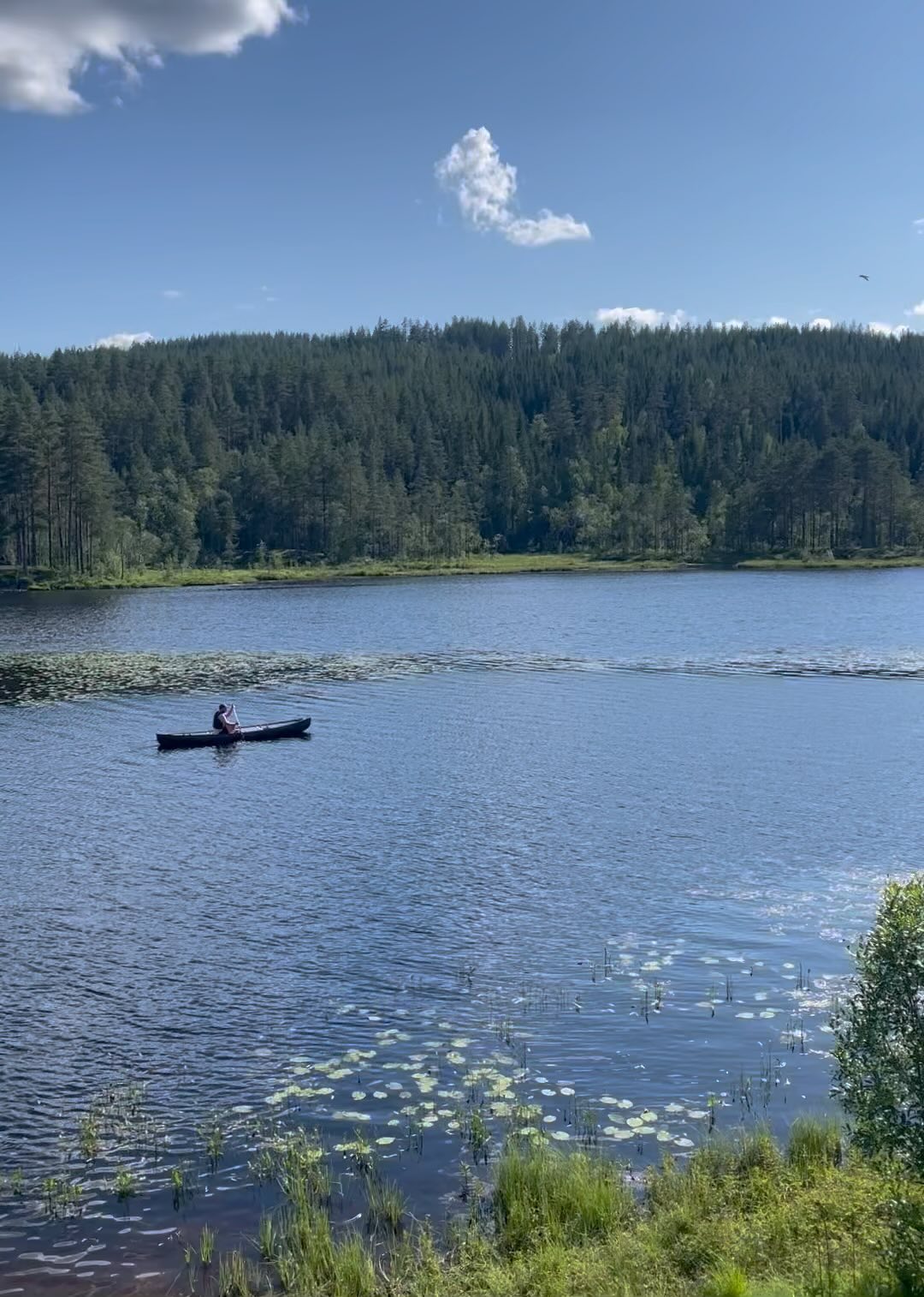 Viveo Omsorg~God sommer 😊☀️🌿🍃 #sommer #glede #ærlighed #norway #viveoomsorg #helse #terapi www.viveo.no