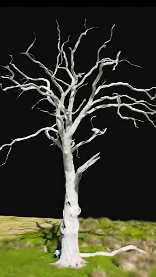 Drone photogrammetry is a great tool for conducting inspections, as it allows us to create a 3D model that helps our clients identify potential issues more effectively.
.
.
.
.
.
#Drone #DroneInspection #3DModel #Photogrammetry #RealityCapture #SurveyLife #Surveying #Tree #3DTree #TreeSurvey #3Dmodeling