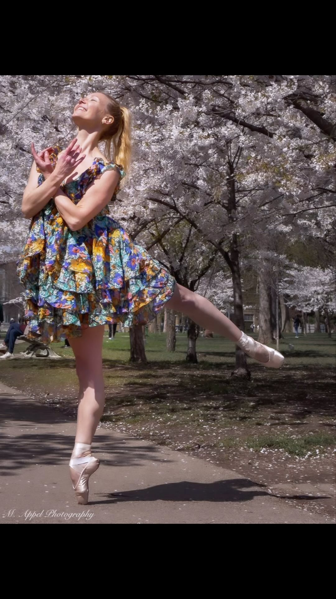 BLOOM: Sakura skies and happy vibes! This was a magical day; the talented Marni Appel was strolling in the park taking photos of the Toronto cherry blossoms, when our paths crossed. She approached me to collaborate and my heart bloomed instantly as we danced, smiled and captured images. Two strangers…making a beautiful moment. Life’s truly like a cherry blossom; make it bloom!
🌸
Thank you @mappelphotography for this cheerful memory and the stunning photos to go along with it.
🌸
#photography #cherryblossom #toronto #strangers #catchthemoment #dancephotography #justdance #ballerina #dancethroughlife #nature #bloom #blossom #strangers #moment #sakura #magical #happyvibes #dancer #pointe #flowerpower
