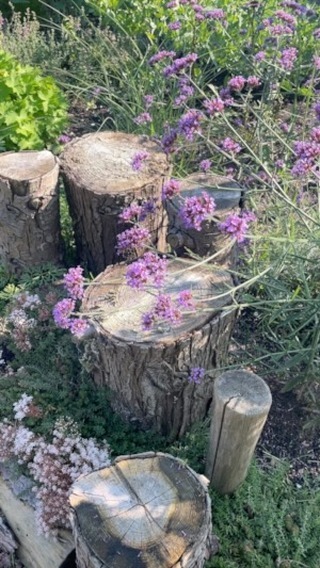 Het is ZOMER! Tijd om GROENinspiratie op te doen! Tijd om je te verwonderen en te ZIEN. De hele maand augustus verrassen we je met onze speciale acties, aanbiedingen, bijzondere tours en rondleidingen over het Plantencentrum.
Het centrum is open van ma t/m za en ons adviesteam staat voor je klaar om je te begeleiden bij je groenprojecten.