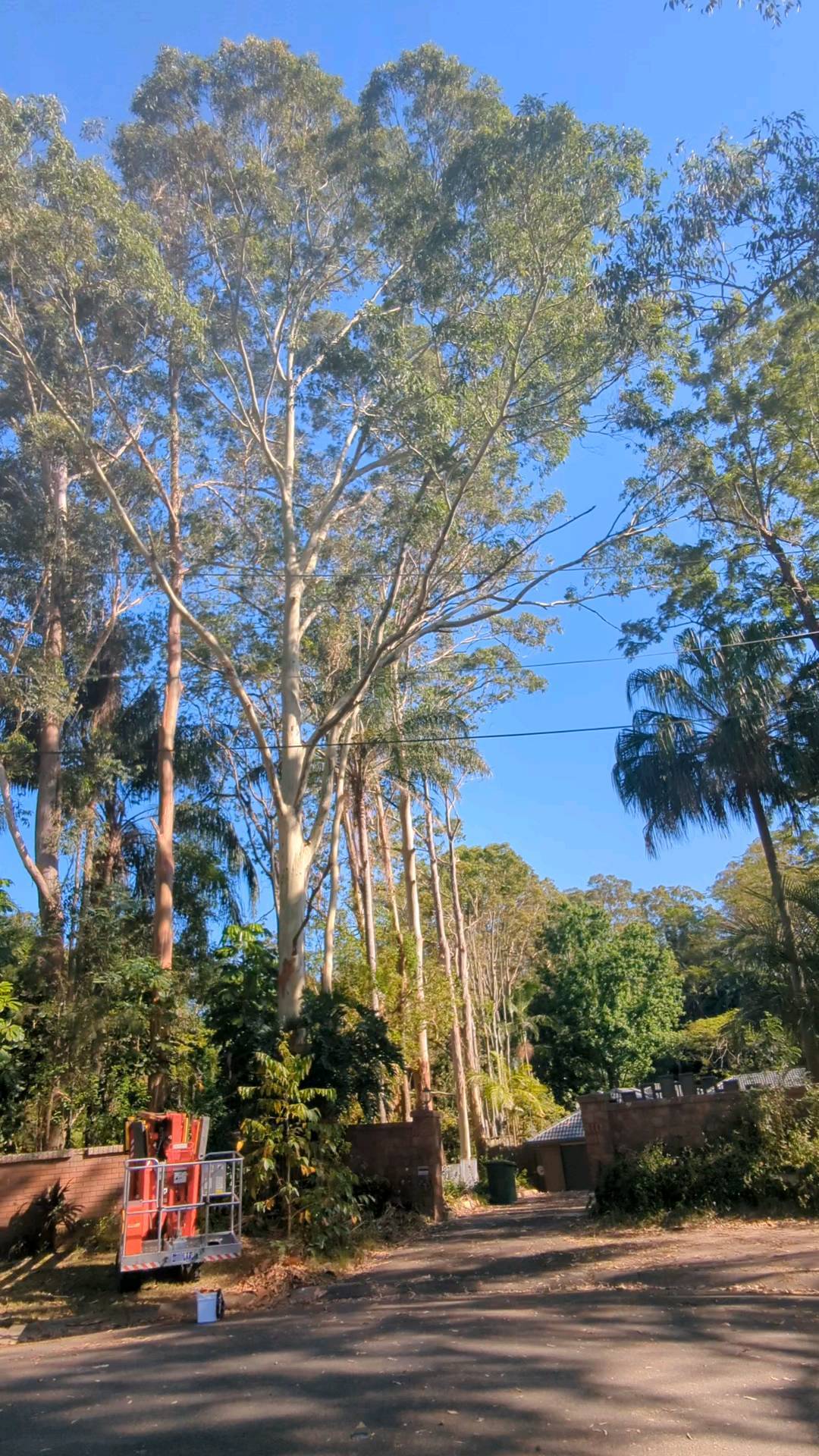 Big day today with Jordan T climbing 👍👏👌 Now on to the weekend! 💃🕺💃