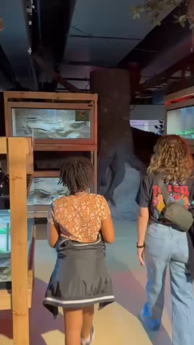 🌞 Summer is almost here, and that means field trip season is too!
We’ll be heading out into the community to target essential social skills and real-world success for our clients. From navigating social cues to practicing communication and flexibility, each outing is designed with growth in mind. #ABAinAction #SummerFieldTrips #CommunityOutings #SocialSkillsInTheRealWorld #ABAtherapy #BCBAlife #FunctionalLearning #GeneralizationMatters #BuildingIndependence #AutismSupport #AppliedBehaviorAnalysis #SummerSkills