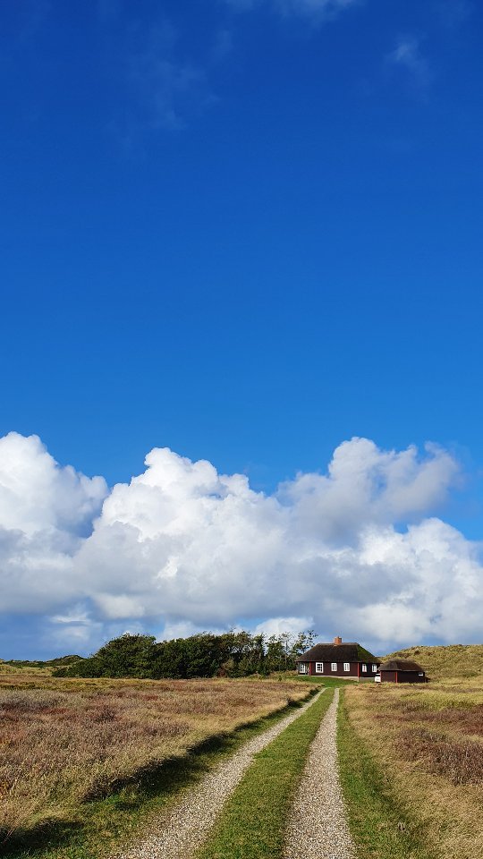 Throwback naar enkele dagen in Denemarken. 💙
#lyngby #denmark #denemarken #naturelover #thy #thydenmark #thisted